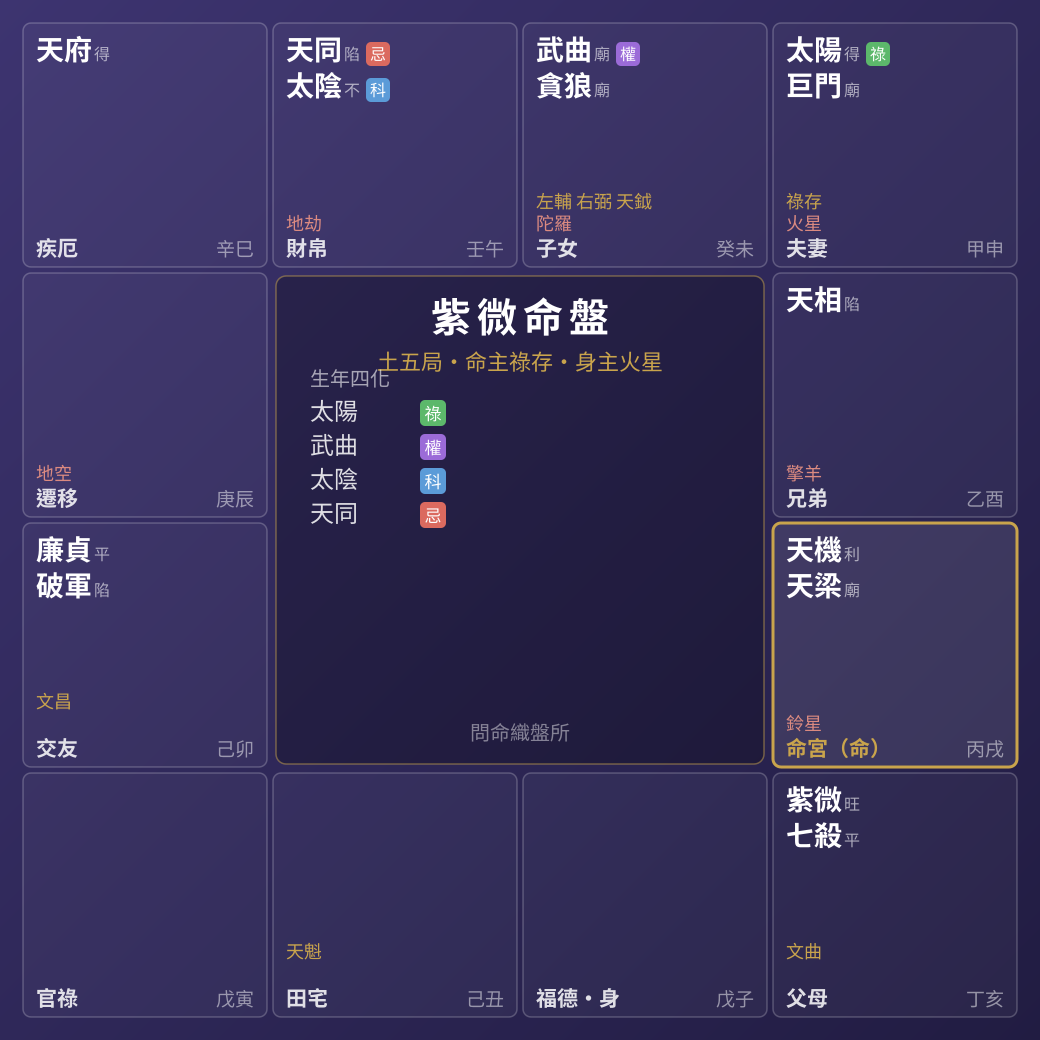 紫微命盤示意（範例盤）